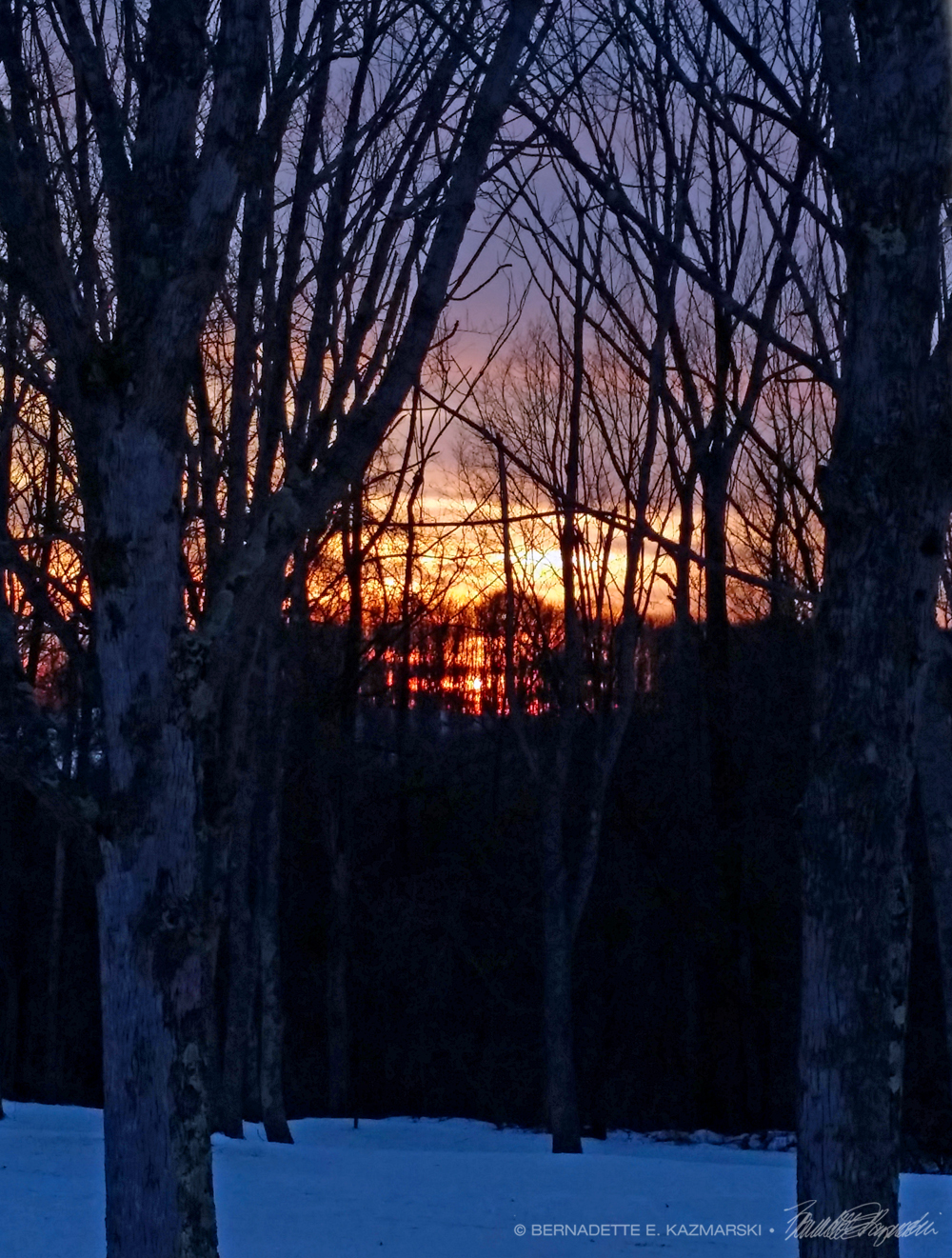 winter sunset with trees