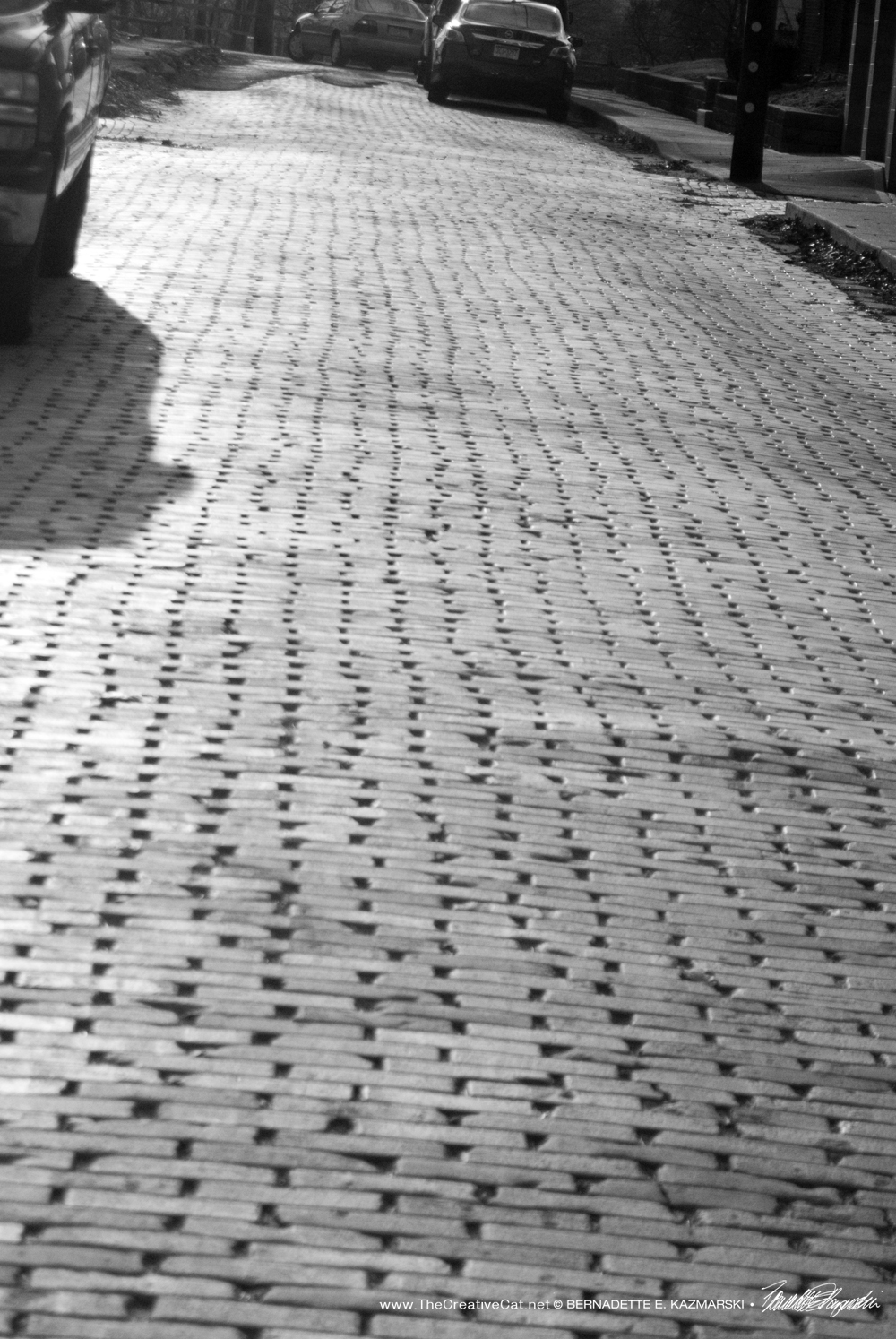 Patterns Uncovered by Melting Snow
