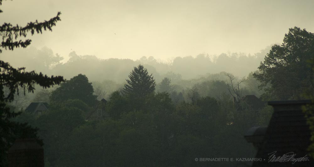 Fog at Dawn