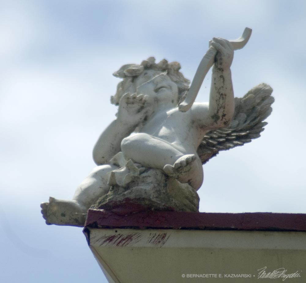 Cupid