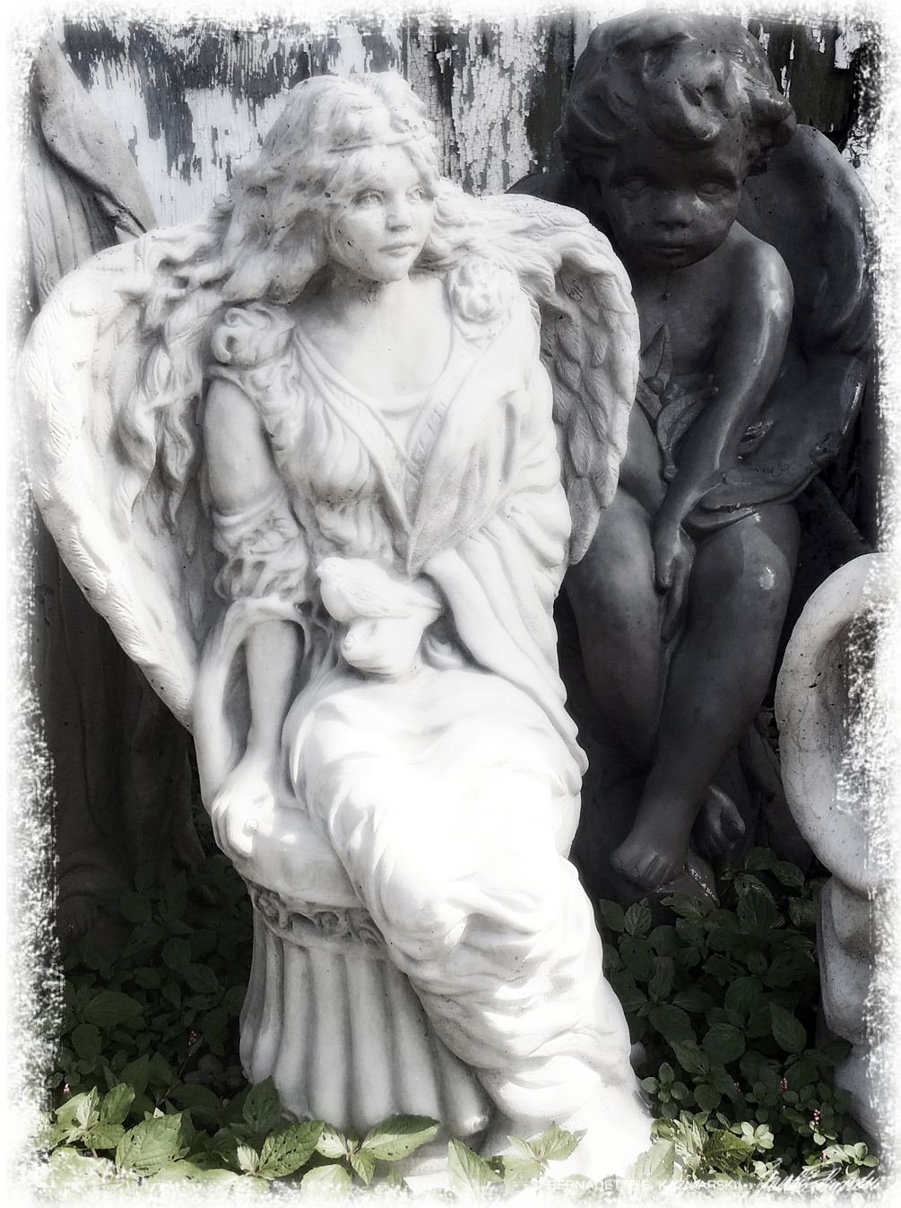Bored Juvenile Angels