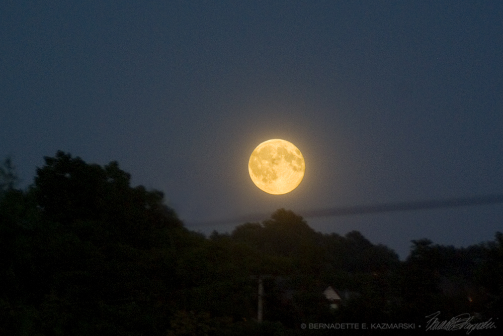 Blue Moon