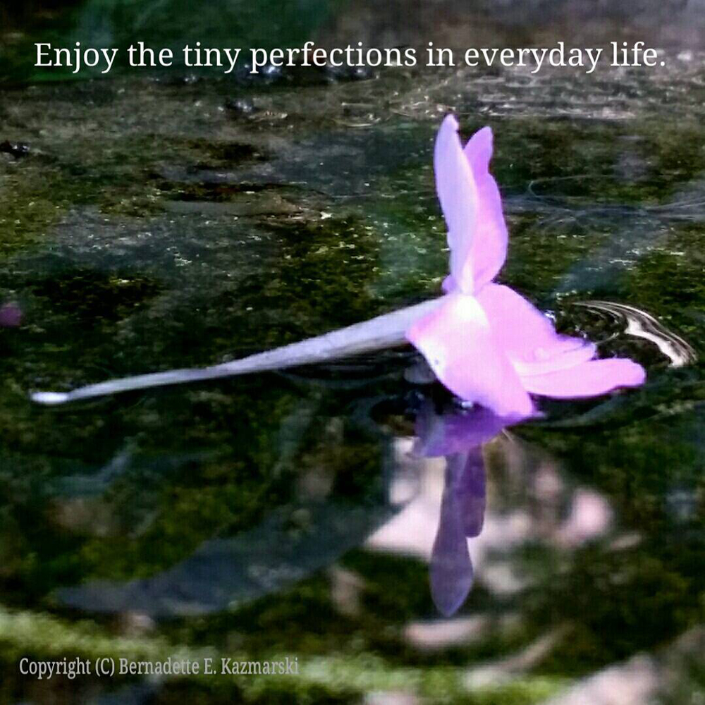 Tiny Perfections.