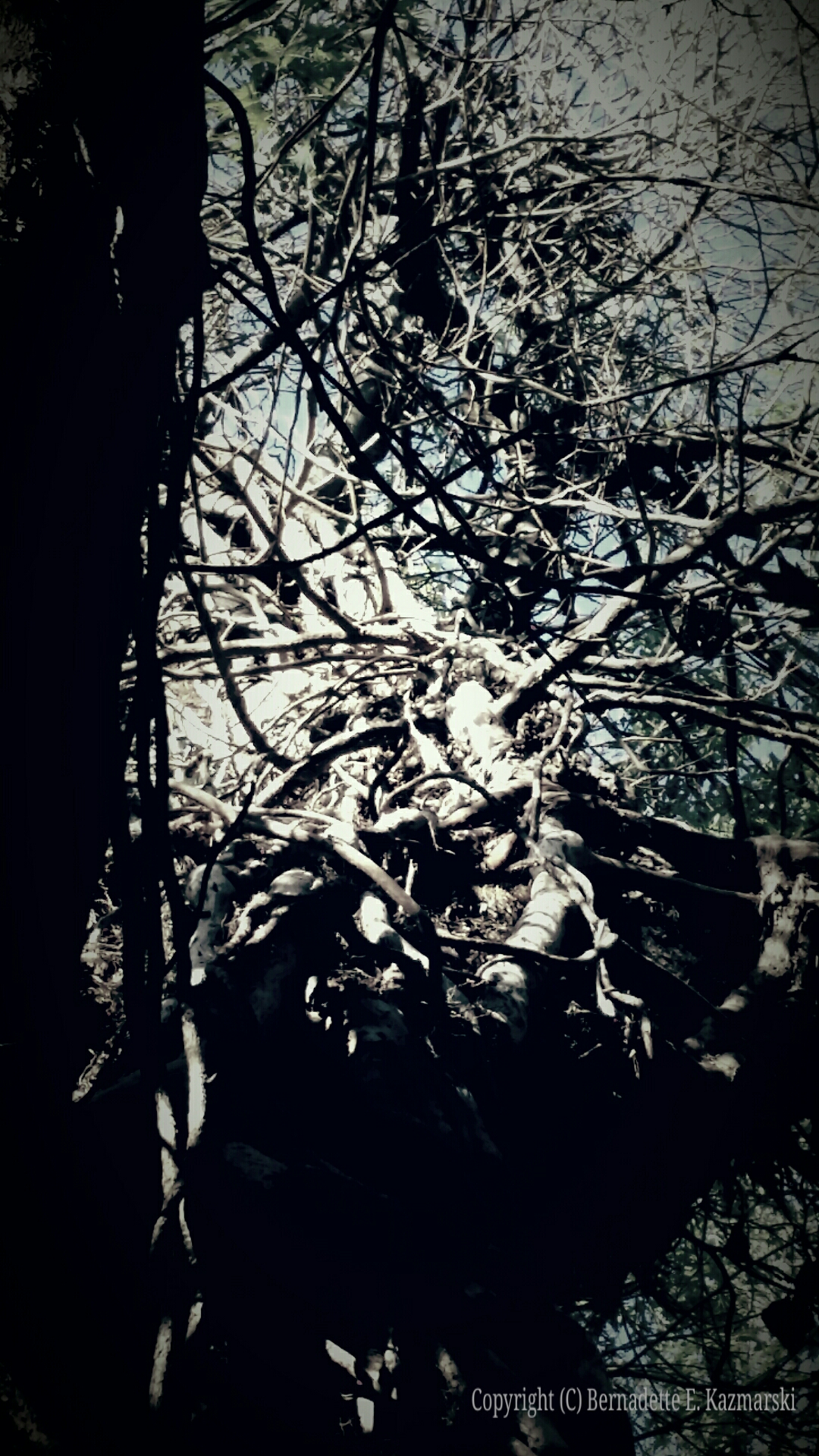 Up From the Abyss