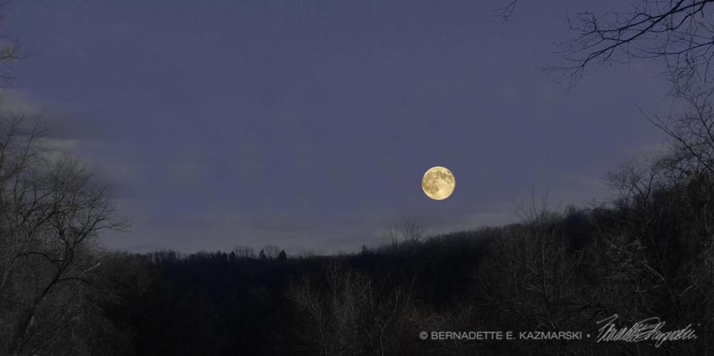 The Christmas Moon