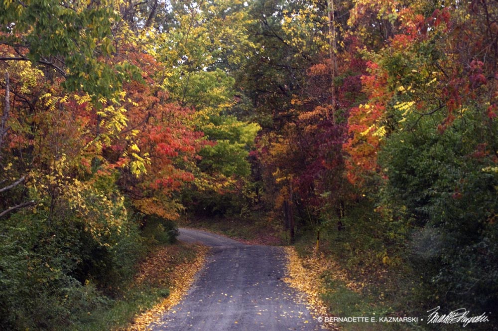 road in autumn