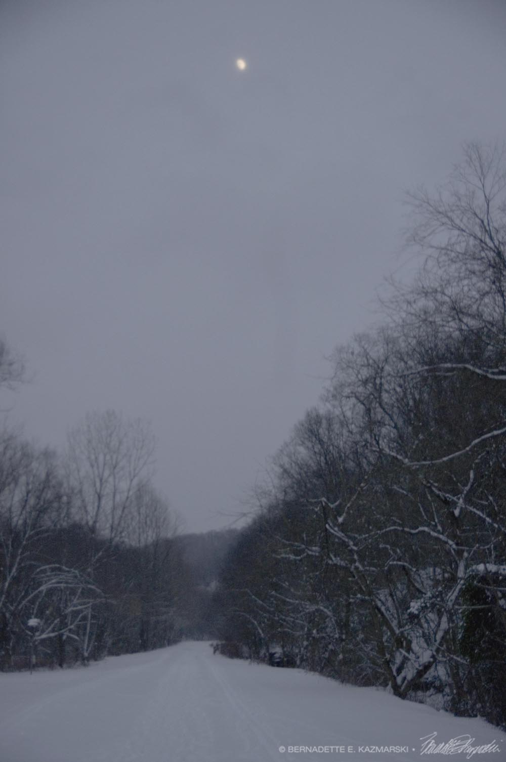 trail in snow with moon