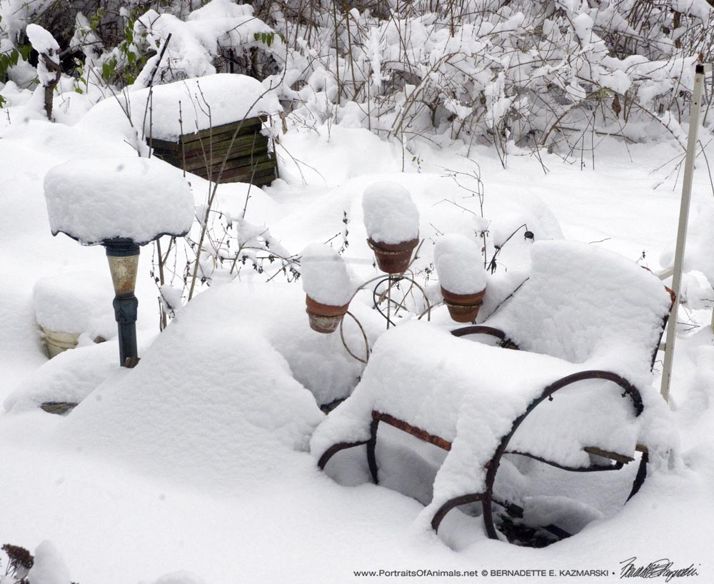 snow on lawn furniture