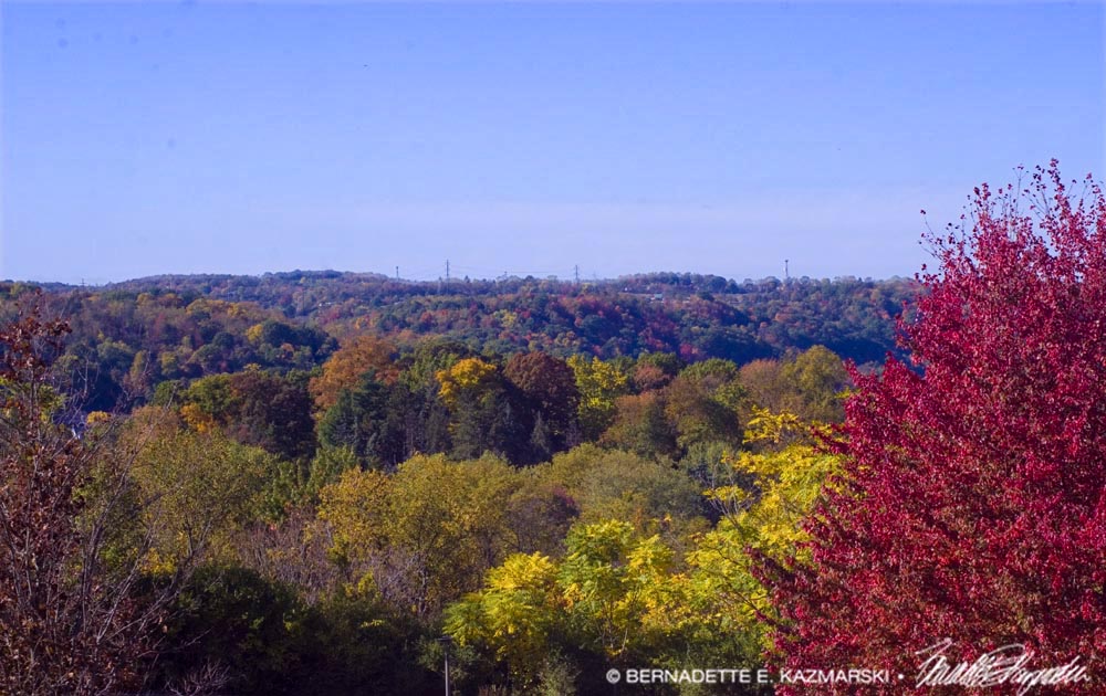 autumn landscape