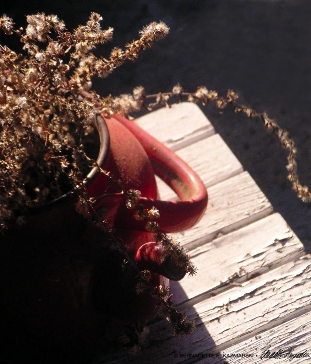 red teapot with dried asters