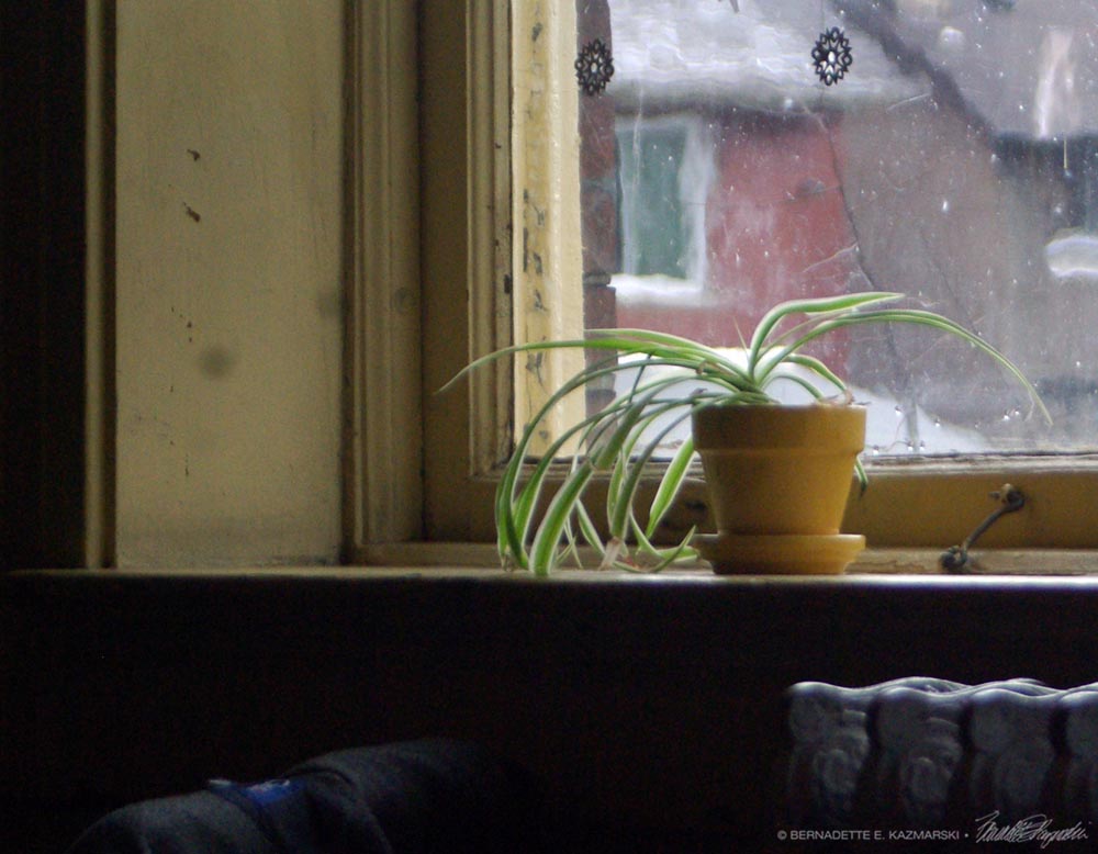 Winter Window
