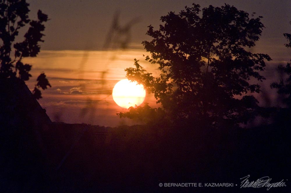 The full sun.