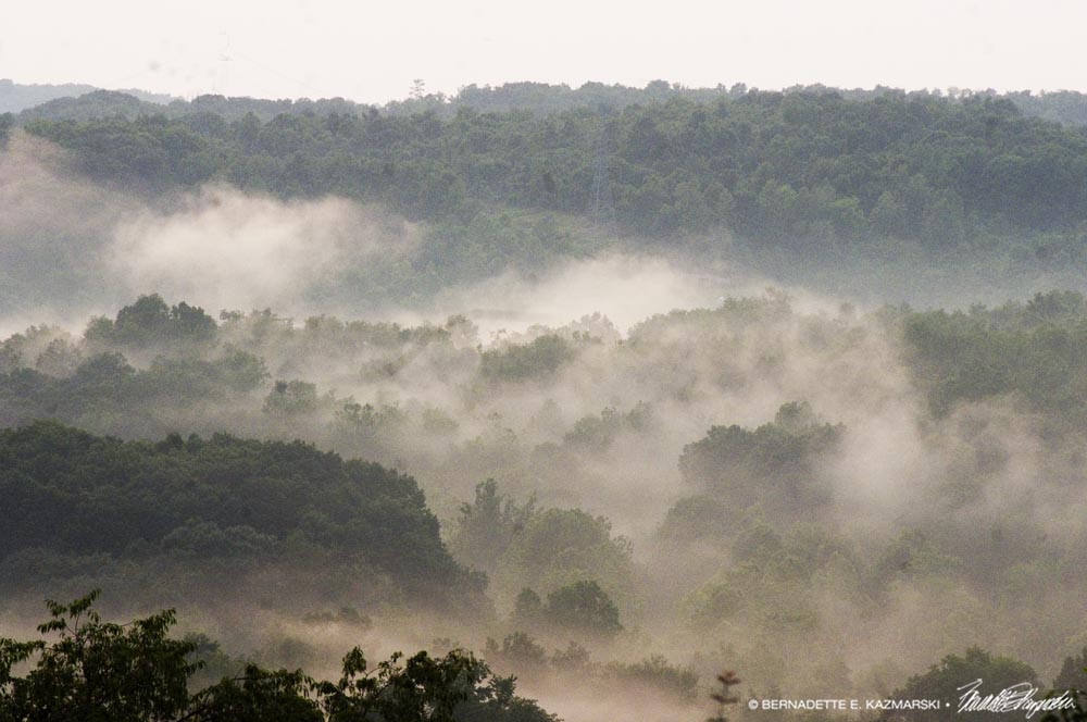 mist in the valley