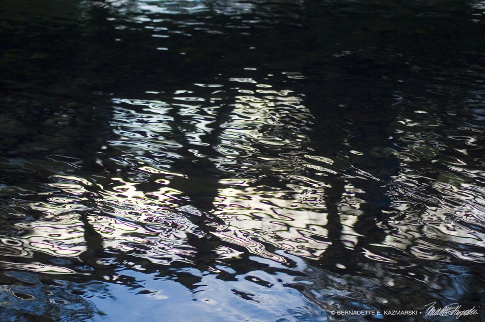 reflections in water