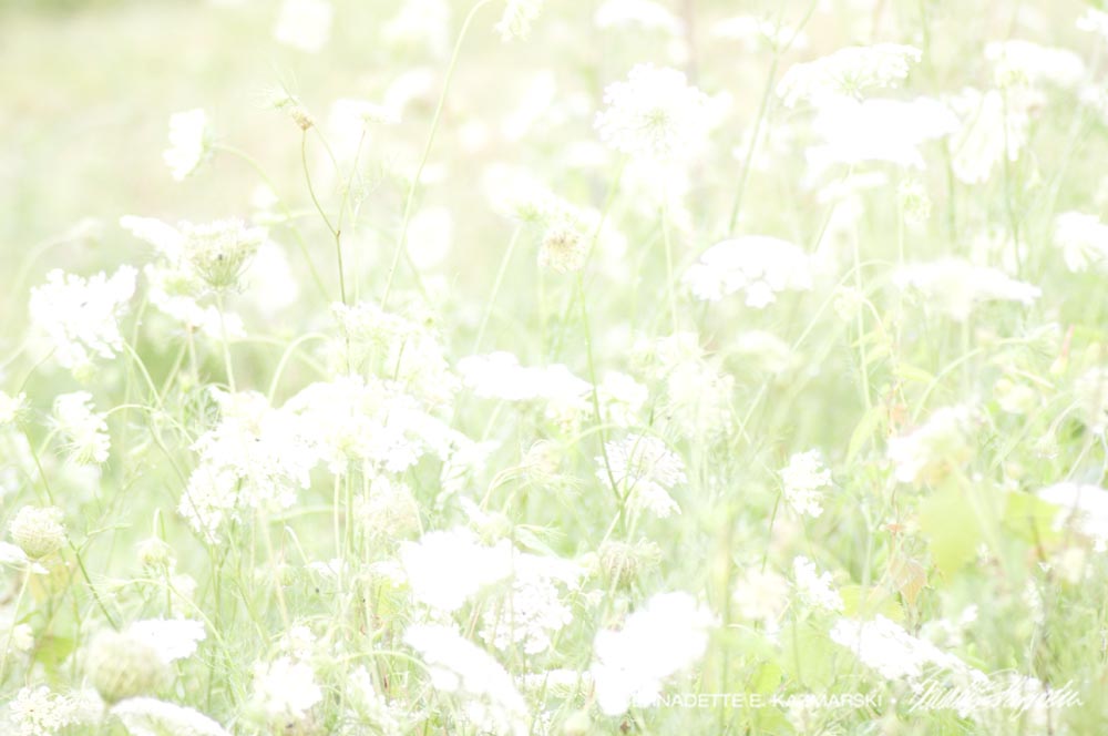Original overexposed photo.