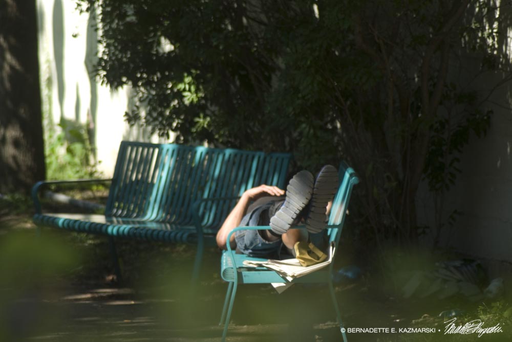 Good Spot for a Nap