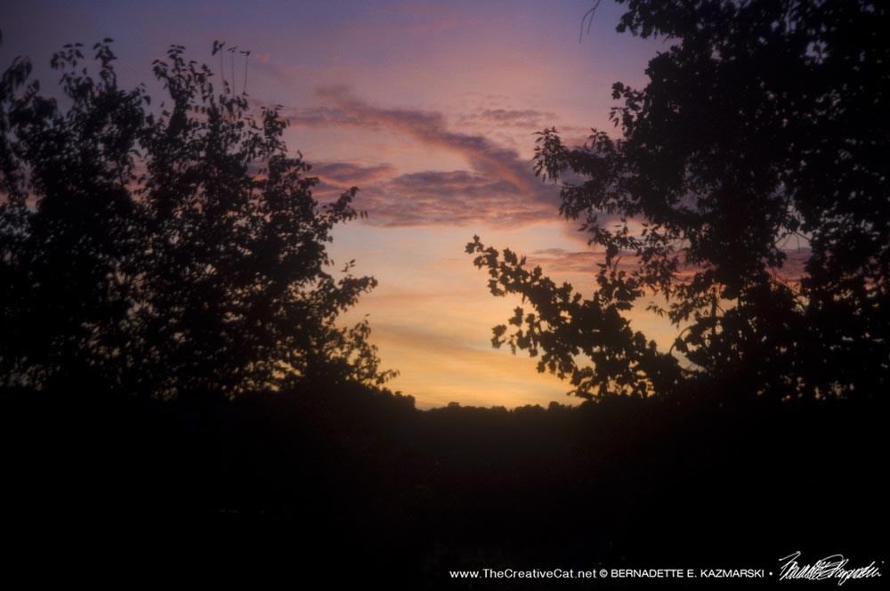 Soft Sunrise