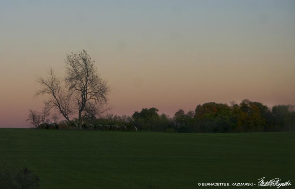 Autumn Dusk