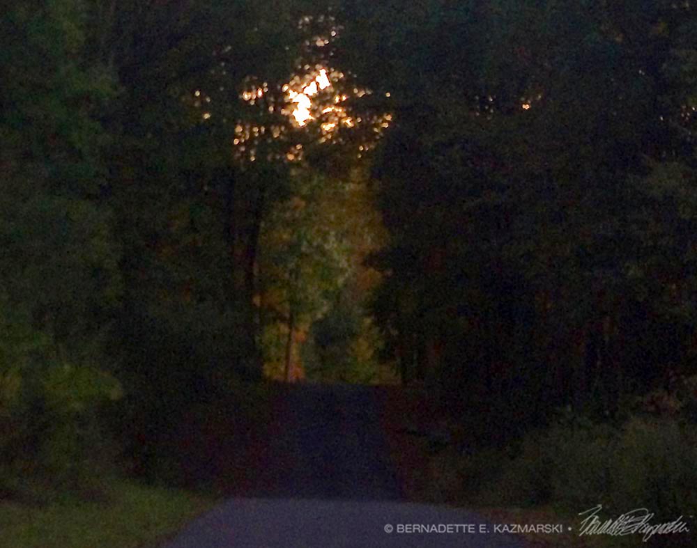 The Light at the End of the Tunnel